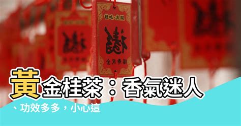 黃金桂禁忌|【黃金桂禁忌】黃金桂：「香氣之王」的功效與禁忌，獻給品茗愛。